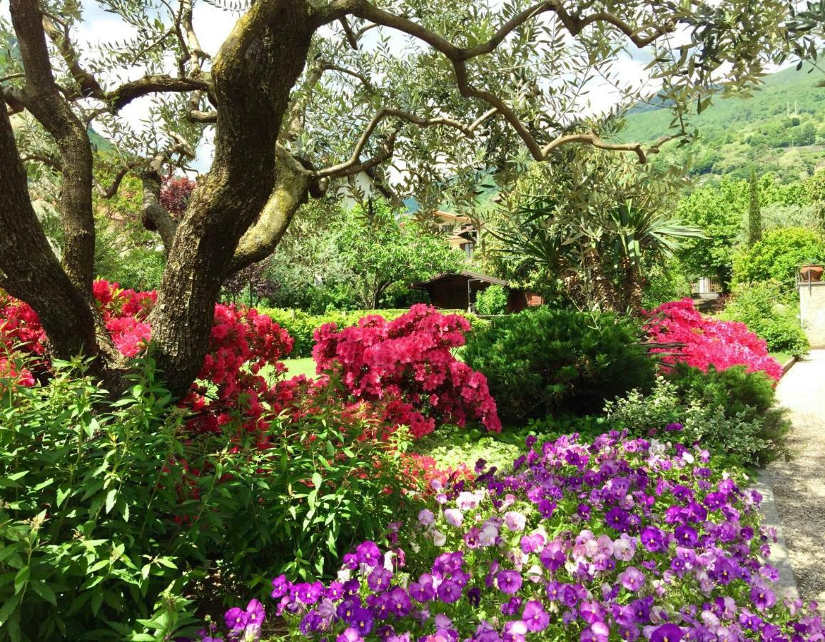 Iris 2 Lago Di Como Dongo Luaran gambar