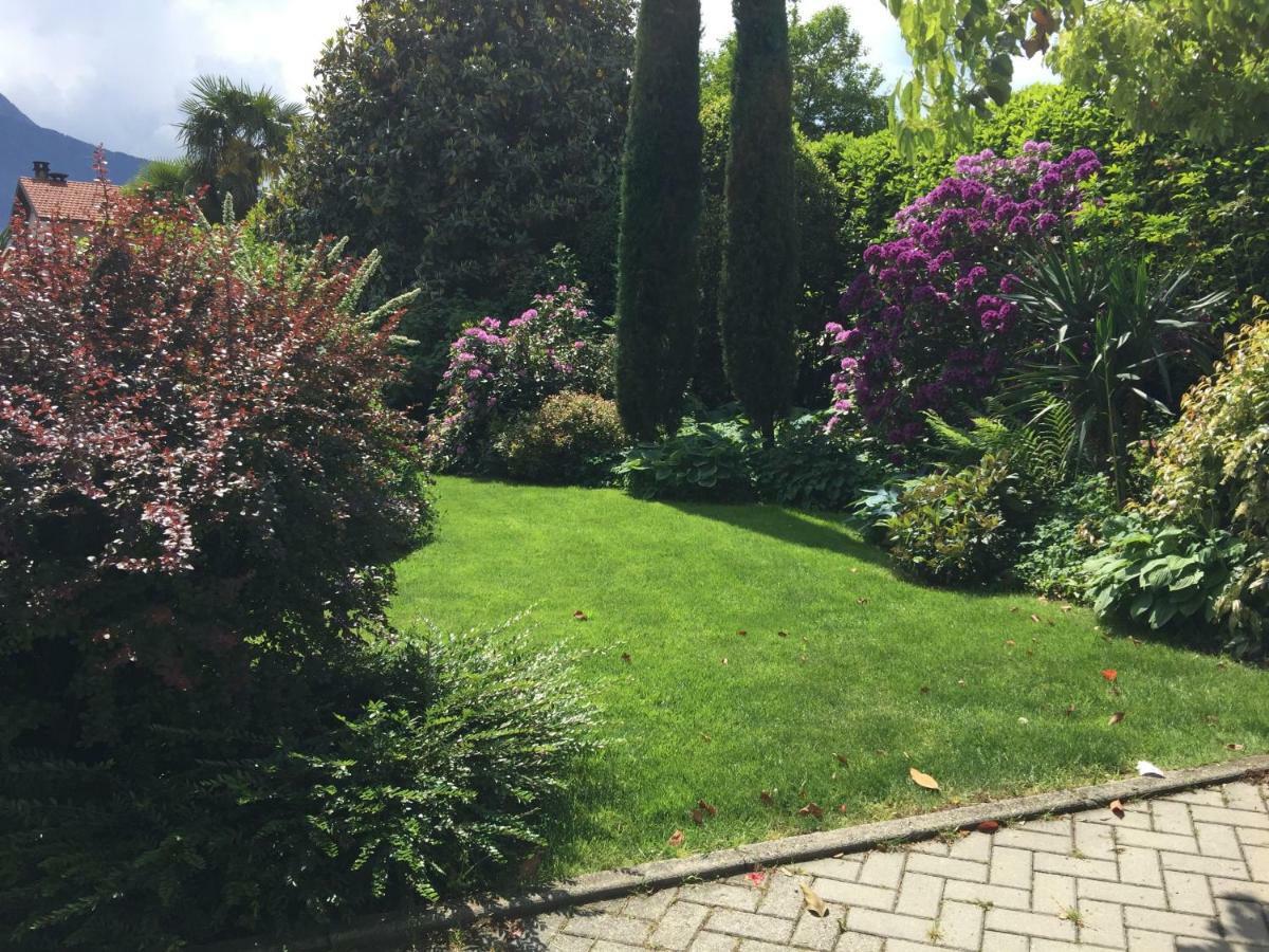 Iris 2 Lago Di Como Dongo Luaran gambar