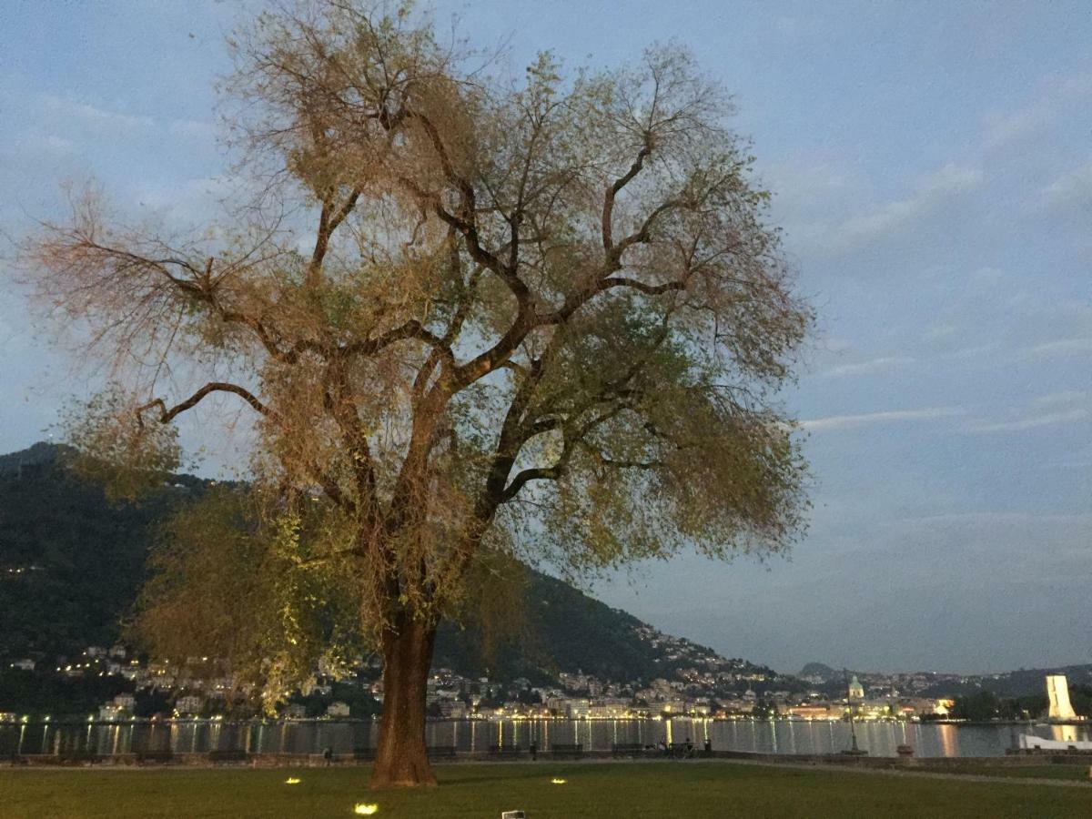 Iris 2 Lago Di Como Dongo Luaran gambar